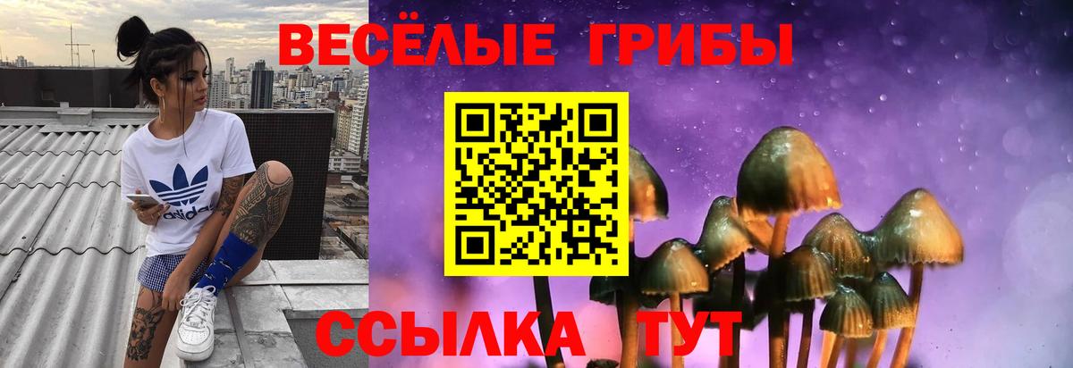Галлюциногенные грибы мухоморы Фролово